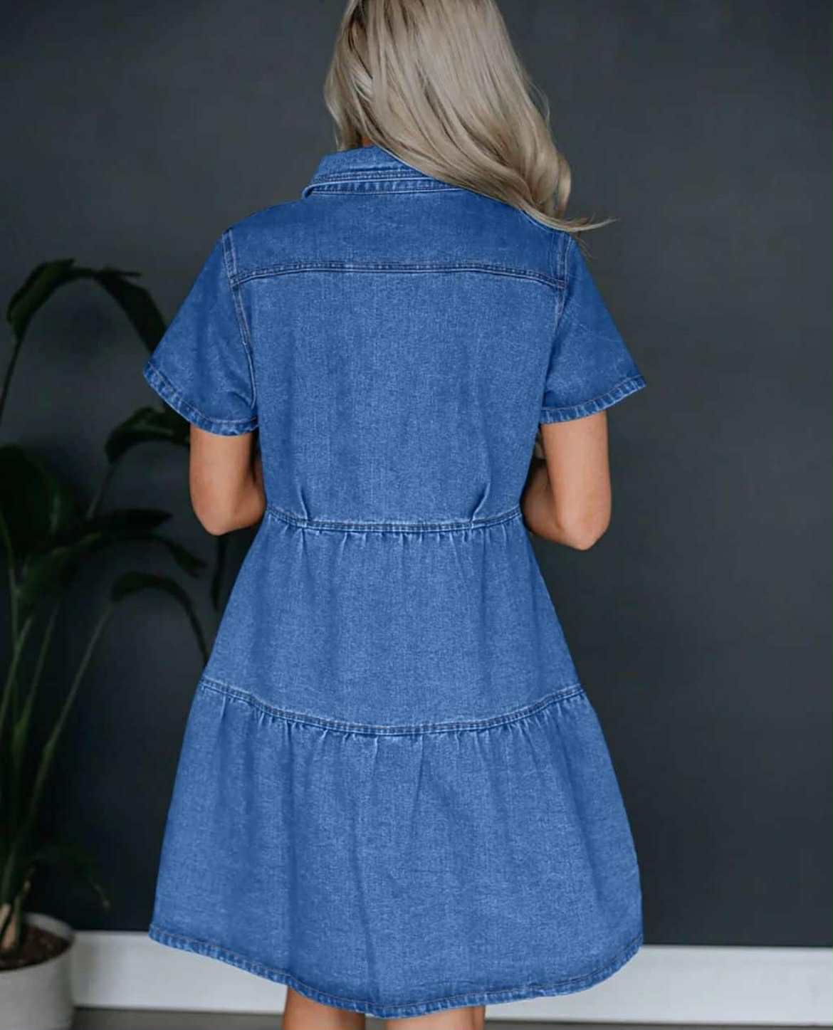 Zara Denim Dress