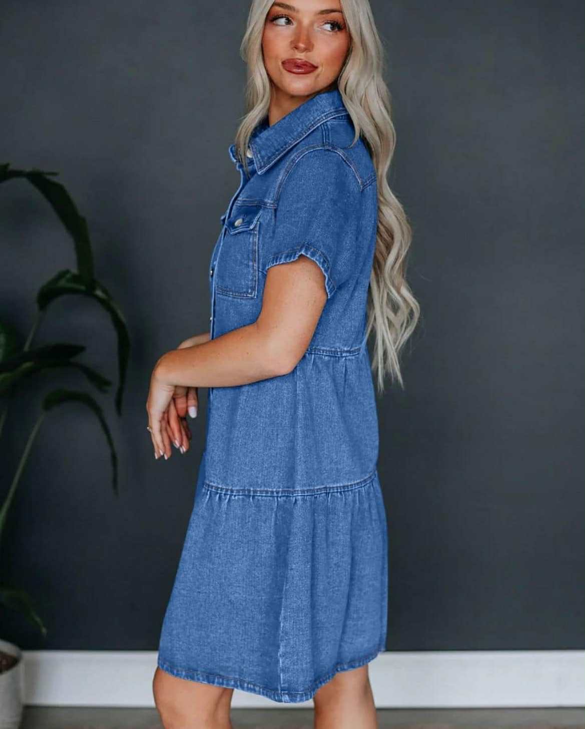 Zara Denim Dress