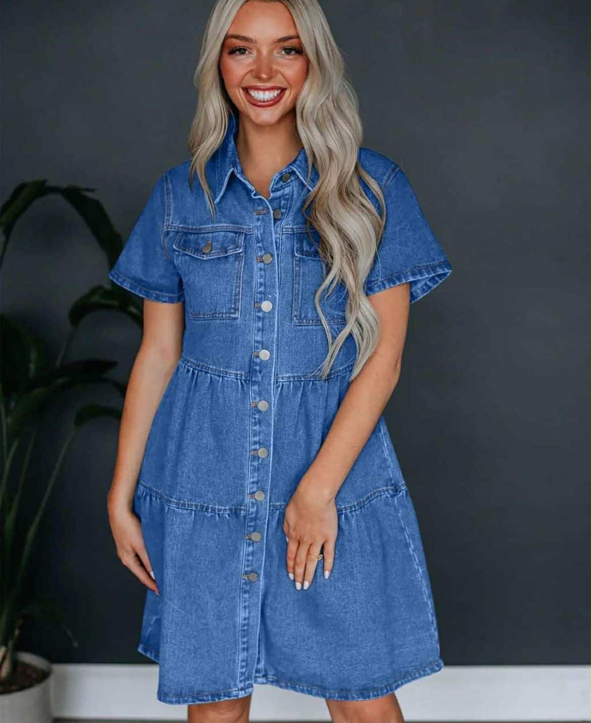 Zara Denim Dress
