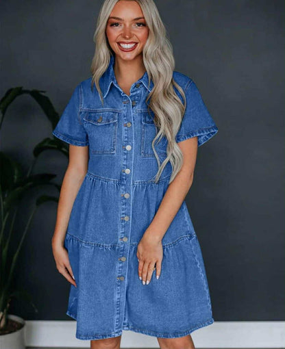 Zara Denim Dress
